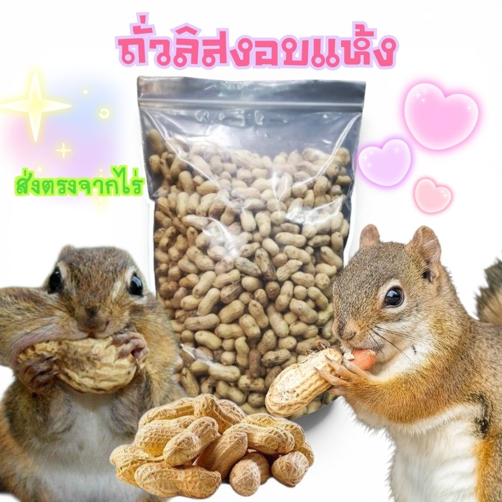 flash sale ถั่วลิสง สำหรับ นก หนู สัตว์ฟันแทะ ขนาด 100g. #อาหารนก #อาหารหนู #แฮมเตอร์ #กระรอก #กระแต