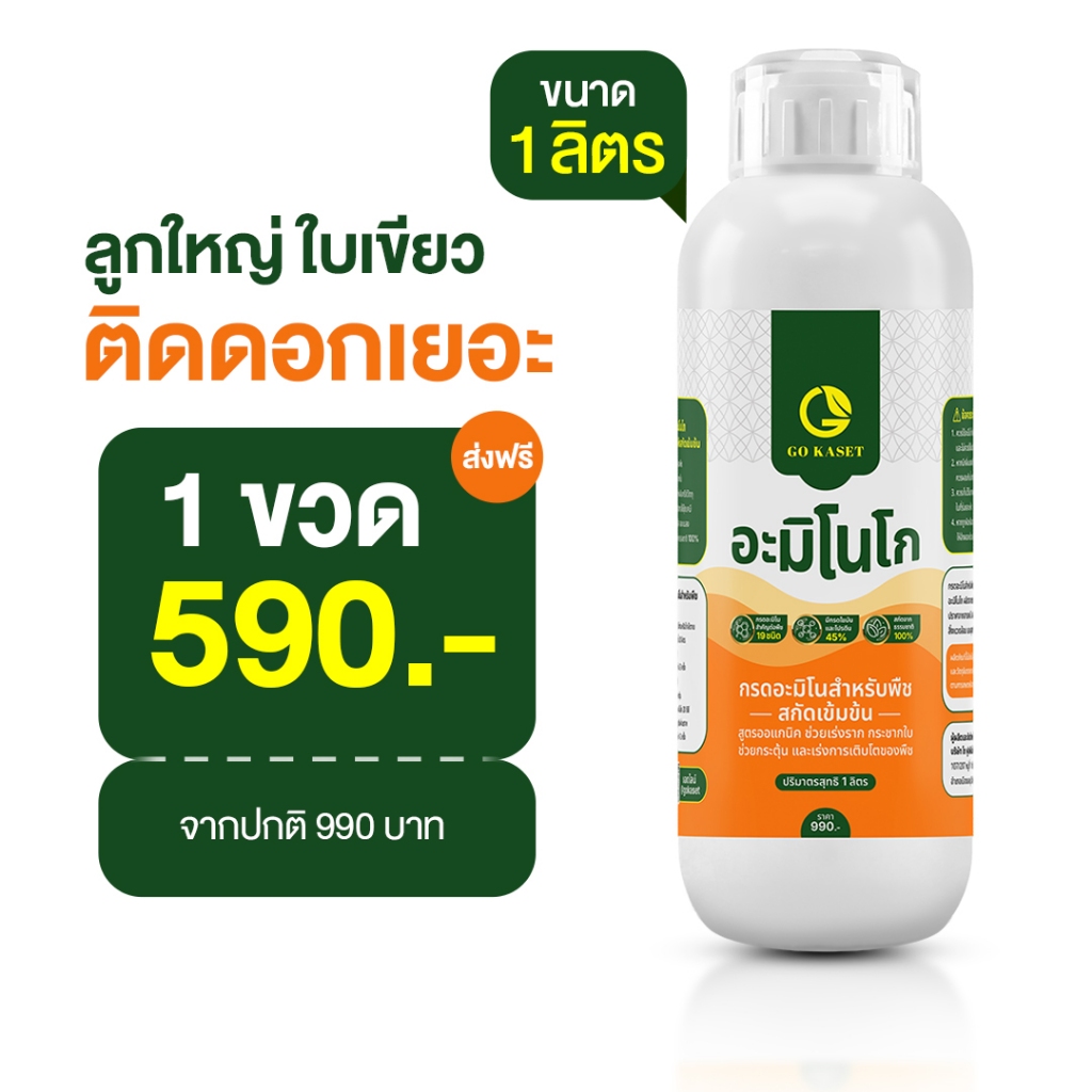 [1ขวด] อะมิโนโก(ขวดใหญ่) 1,000 ML - AMINO GO กรดอะมิโนสำคัญต่อพืช 19 ชนิด ปุ๋ยน้ำ ปุ๋ยกุหลาบ เร่งราก