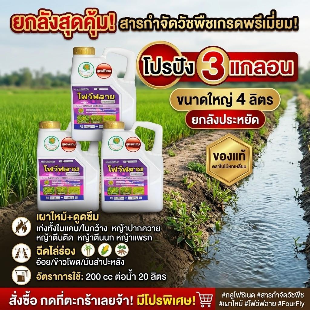 โฟว์ฟลาย ยกลัง3แกลลอนคุมกว่า!!  กลูโฟซิเนต-แอมโมเนียม สูตรพิเศษ ขนาด 4 ลิตร กำจัดวัชพืชทุกชนิด ปลอดภัยต่อพืช