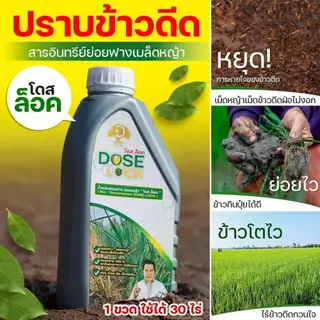 [ร้านค้าบริษัท] กำตัดดีดย่อยข้าววัชพืช ย่อยฟางข้าว โดสล็อค ชุดเซ็ต 2 ขวด ย่อยฟางไม่ต้องเผา ฟื้นฟูดิน