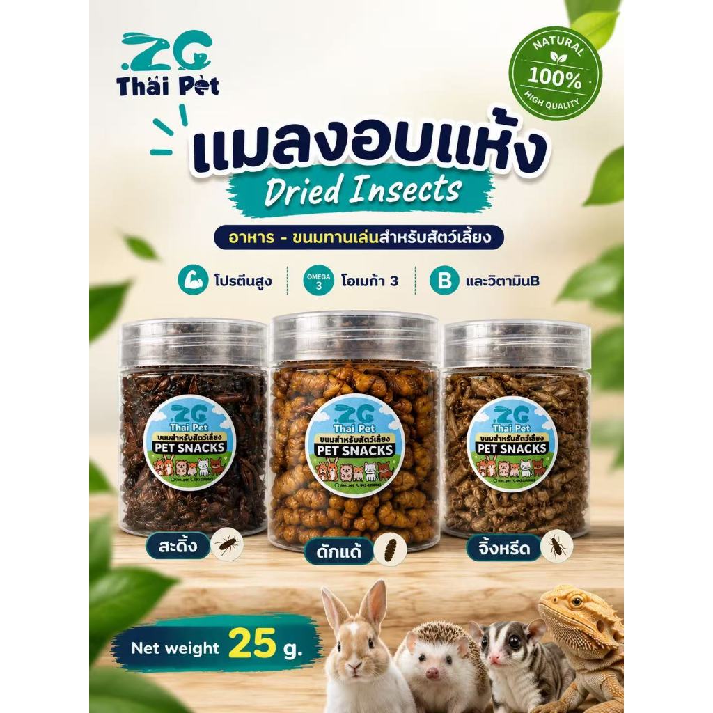 [ZC]แมลงอบแห้ง สะดิ้ง/จิ้งหรีด/ดักแด้ อาหารและขนมสำหรับสัตว์เลี้ยงฟันแทะ โปรตีนสูง บรรจุกระปุก 25 g.