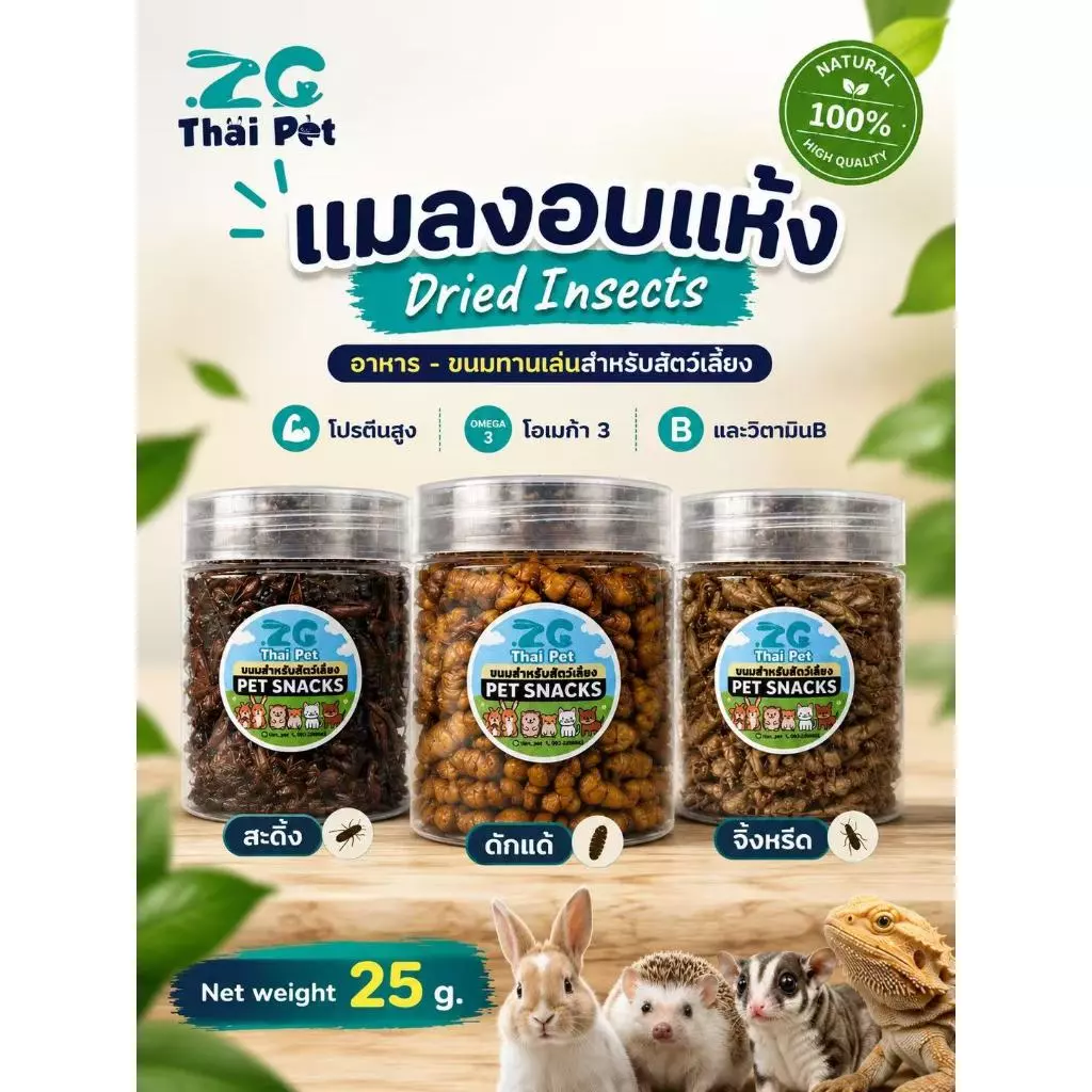 [ZC]แมลงอบแห้ง สะดิ้ง/จิ้งหรีด/ดักแด้ อาหารและขนมสำหรับสัตว์เลี้ยงฟันแทะ โปรตีนสูง บรรจุกระปุก 25 g.