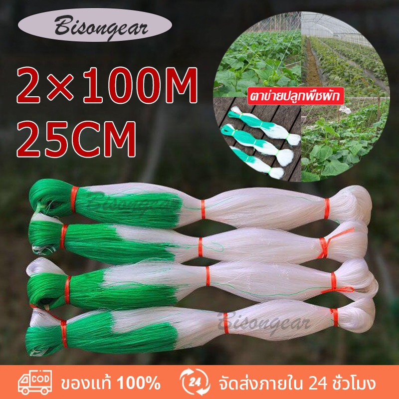 🔥พร้อมส่ง🔥2*100m างปลูกผัก ค้างผัก ตาข่ายปลูกผัก โครงไม้เลื้อย ค้างไม้เลื้อย ตะข่ายไนลอน ต้นไม้เลื้อย อวนแตง ตาข่ายปลูกแ