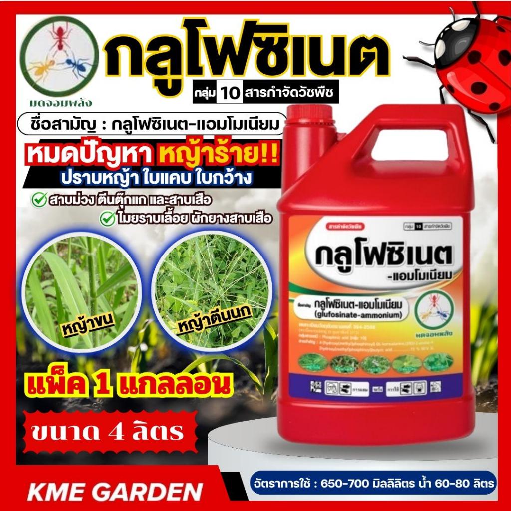 กลูโฟซิเนต 4ลิตร กระติกแดง ยาฉีดหญ้า ทนฝน กลูโฟซิเนตแอมโมเนียม  ป้องกันวัชพืชแบบใบแคบ และใบกว้าง วัชพืชหลังงอก
