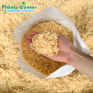 Plants Center ขี้เลื่อย เนื้อนิ่ม ธรรมชาติ100% ซื้อ10ถุงราคาถุงละ ต้นสนนิวซีแลนด์