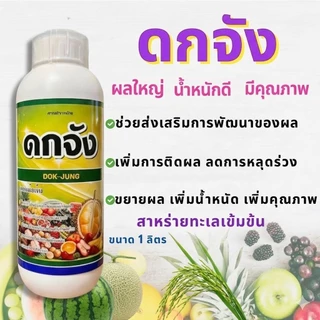 ดกจัง สาหร่ายทะเลสด เปิดตาดอก ลูกดก แก้ปัญหาต้นโทรม โดดเด่นมากๆคือผักกินผล และไม้ผล