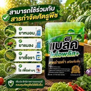 แบล็คไบโอพลัส สาหร่ายดำเข้มข้น ตัวช่วยให้พืชทุกชนิดโตไว ใบเขียว