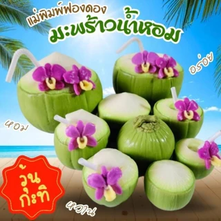 แม่พิมพ์ฟองดอง สำหรับทำขนม วุ้น เค้ก ช็อกโกแลต ขนมต่างๆ รูป รวมมะพร้าวน้ำหอม