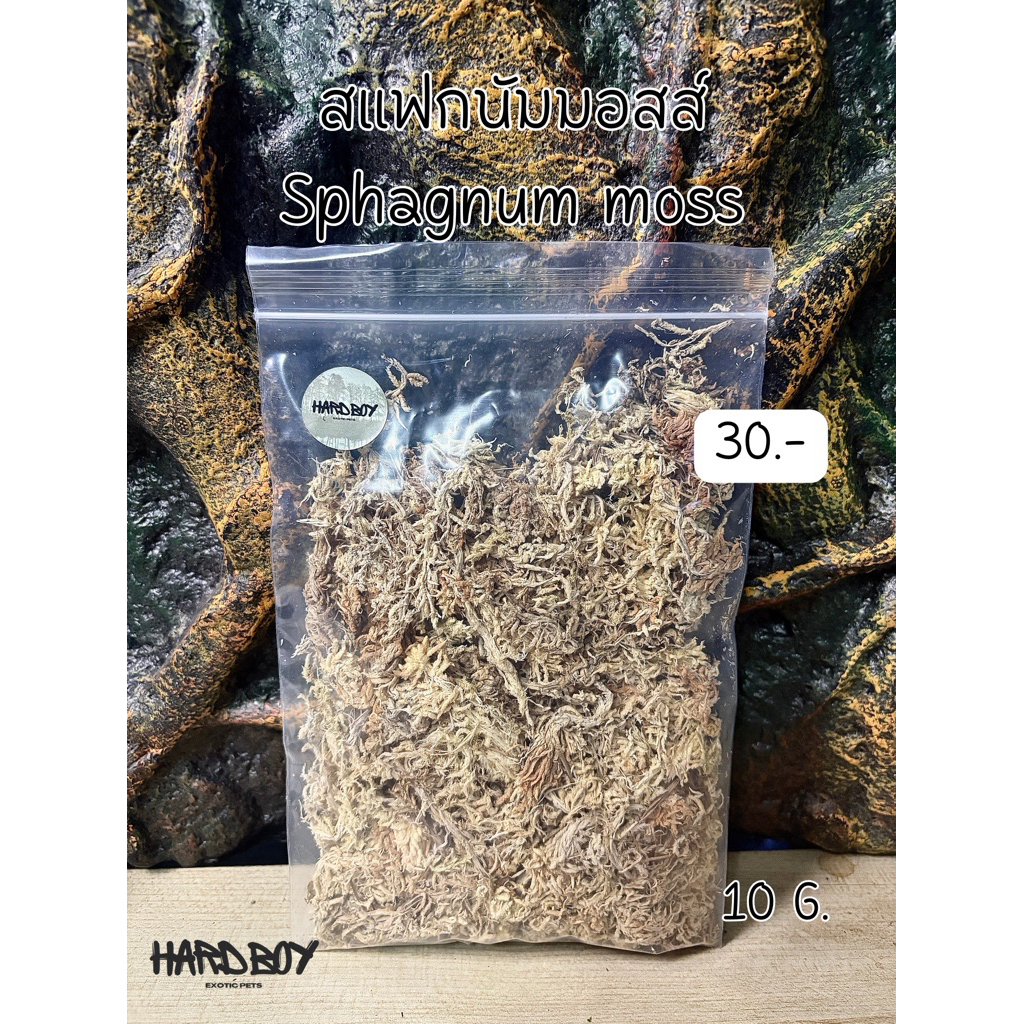 Sphagnum Moss (สแฟกนัมมอสส์) ขนาด 10 กรัม