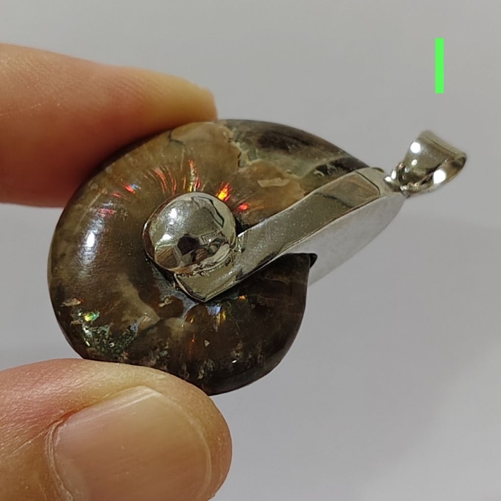 Ammonite pendant จี้ แอมโมไนต์เต็มตัว หอย แอมโมไนต์ หอยล้านปี จี้หอยแอมโมไนต์ คตหอย ใส่พกติดตัว เพิ่มพลัง