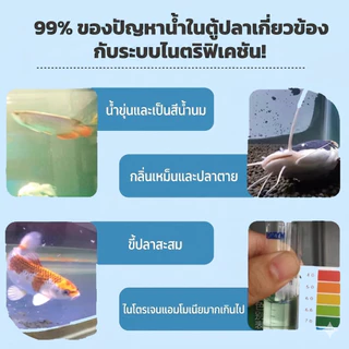 จุลินทรีบ่อปลา Nitrifying Bacteria ยาปรับสภาพน้ำไม่มีสารเคมีปลอดภัย ปรับปรุงคุณภาพน้ำ ดูแลสุขภาพปลา 500ml