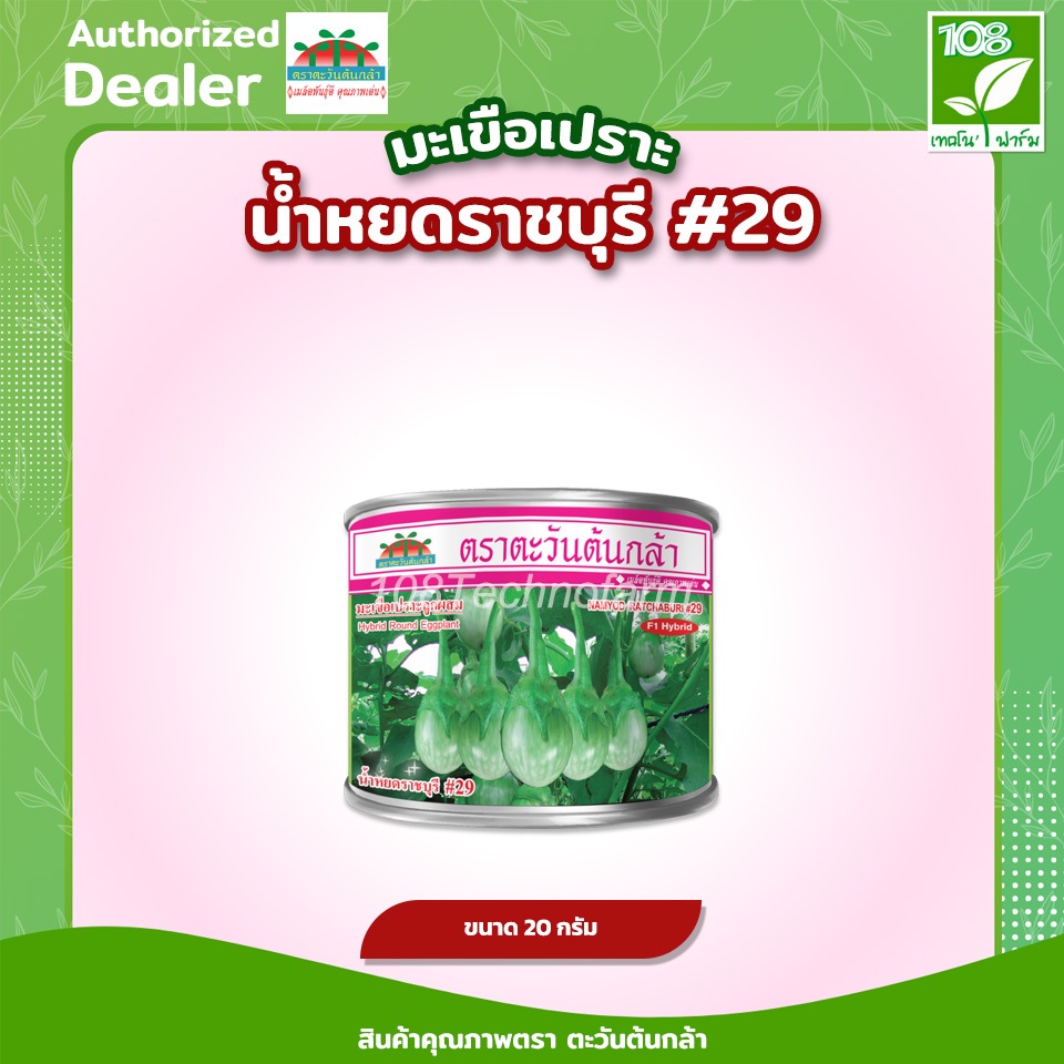 เมล็ดพันธุ์ มะเขือเปราะลูกผสม น้ำหยดราชบุรี 29 ตรา ตะวันต้นกล้า( 20 กรัม )( 50 กรัม )