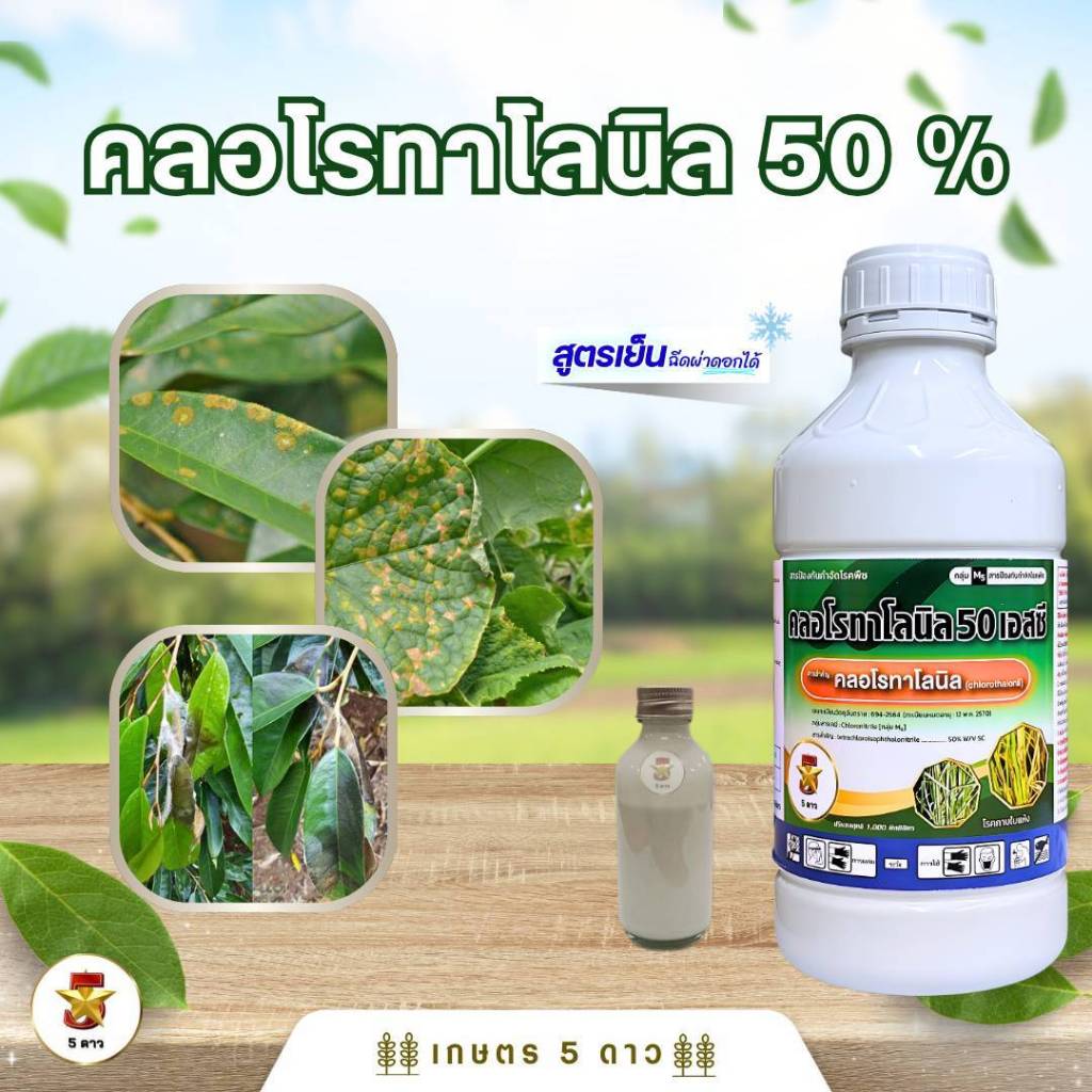 คลอโรทาโลนิล S 50% W/V SC ขนาด 1 ลิตร โรคใบจุดสีน้ำตาล