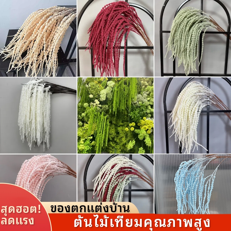 ผักโขมดอกแห้ง ดอกอะมารันทัส คุณภาพดี พร้อมส่ง