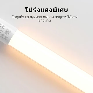 MUSCLE COW หลอดไฟ LED T8 1.2 เมตร 20W แสงขาว หลอดนีออน LED ประหยัดพลังงาน ใช้งานกับไฟ AC220-240V