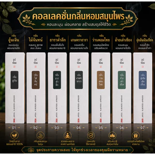 CENSE-STICK🌽ธูปอโรม่าธรรมชาติ ธูปเส้นนอนสูตรโบราณ กลิ่นไม้กฤษณา เครื่องหอมสไตล์จีน ควันน้อย ธูปไร้ควันลดเครียด🌽
