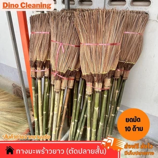 (ยกมัด 10 ด้าม )ไม้กวาดทางมะพร้าว รุ่นตัดปลายสั้น ด้ามไม้ไผ่ เเข็งเเรง ทนทาน ( พร้อมส่ง ) ความยาว 120 ซม Dino Brand
