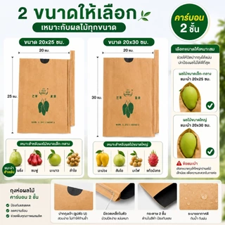 🥭พร้อมส่ง🥭ถุงห่อผลไม้คาร์บอน 100ใบ ถุงห่อมะม่วง ฝรั่ง ชมพู่ กันแมลง กันนก กันแดด กันฝน ผิวสวย ระบายอากาศดี 20x25/20x30