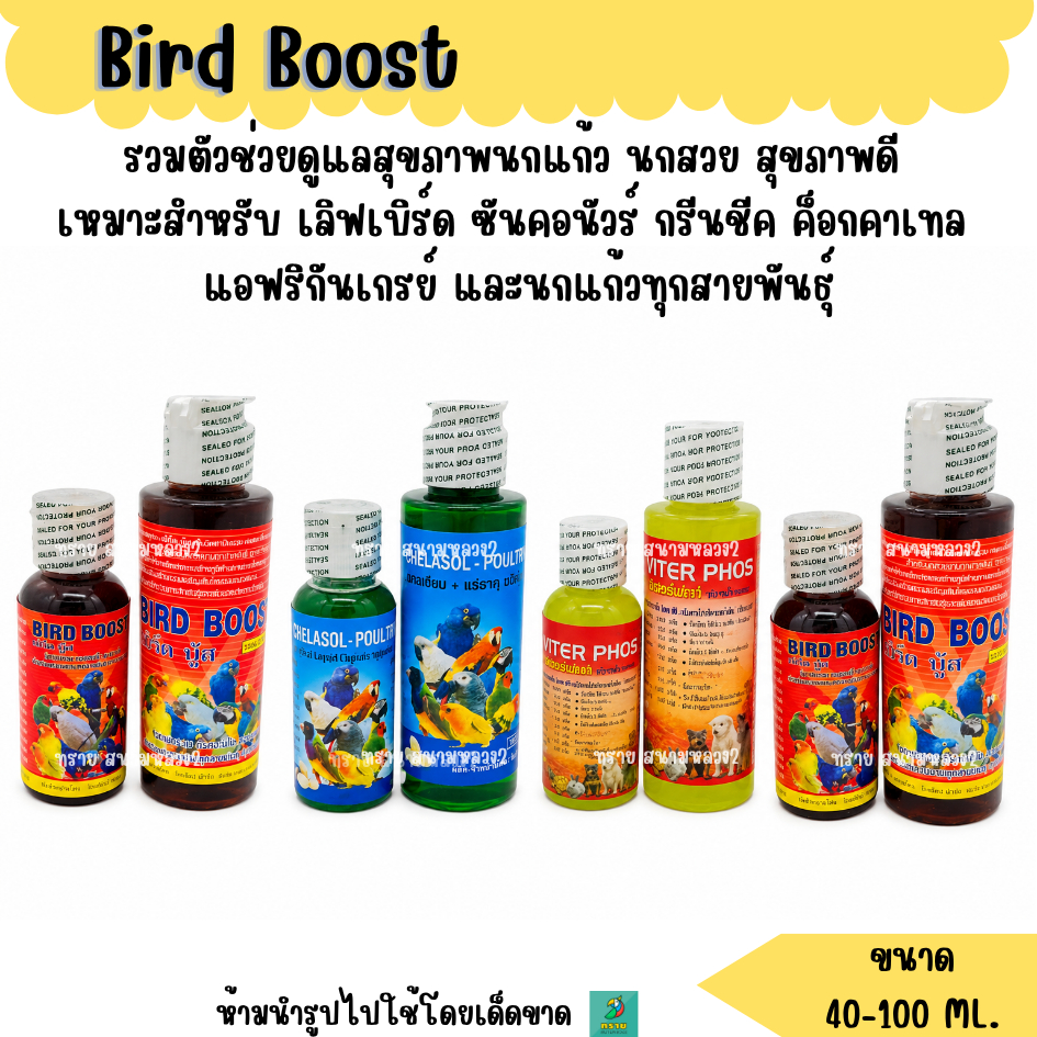 รวมตัวช่วยดูแลสุขภาพนกแก้ว นกสวย สุขภาพดี