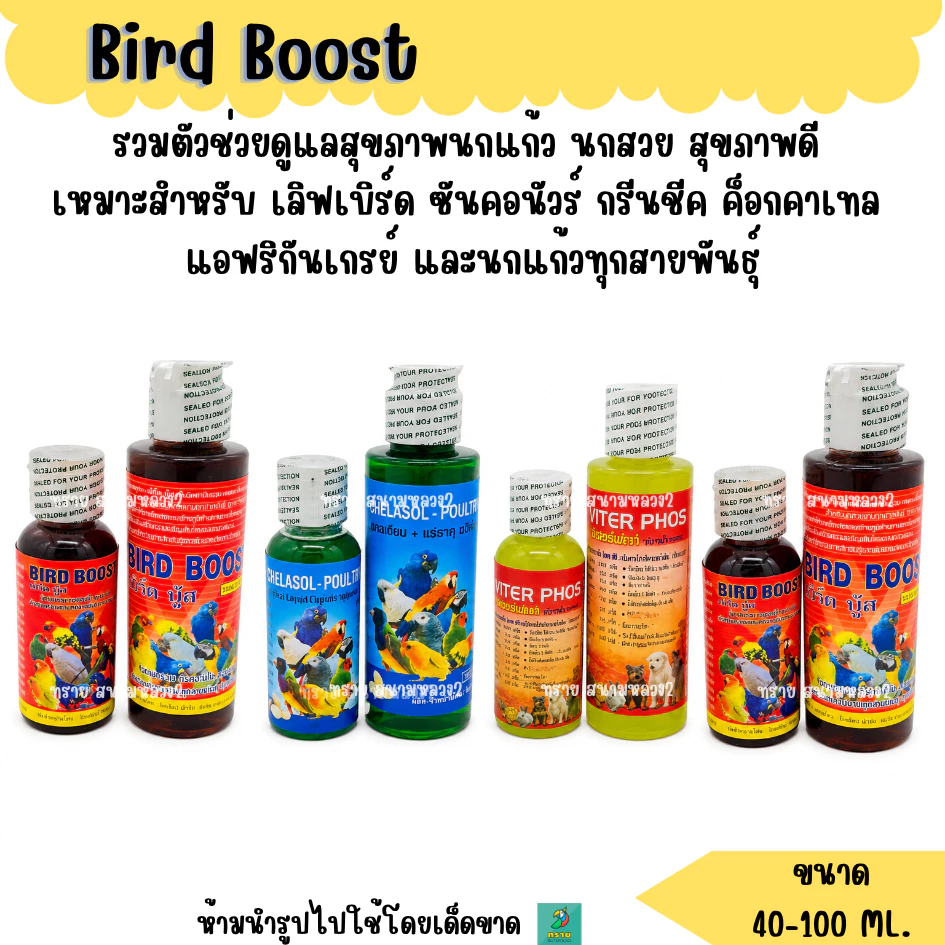 รวมตัวช่วยดูแลสุขภาพนกแก้ว นกสวย สุขภาพดี