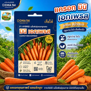รวมผักเจียไต๋ ผักซองอีซี่ F1 ผักซอง 40 กว่าชนิด เมล็ดพันธุ์คุณภาพดี ปลูกง่าย โตไว #เจียไต๋