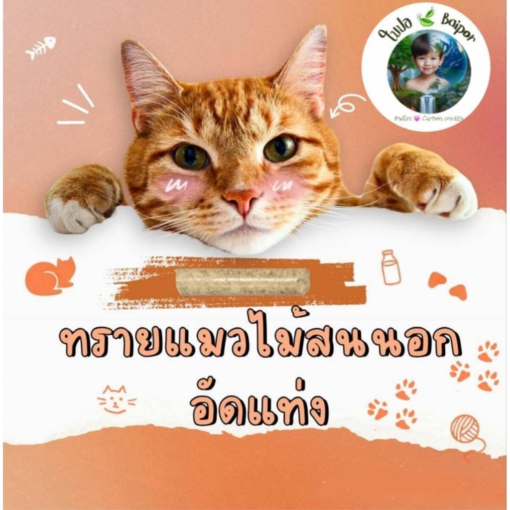 ทรายแมวไม้สนนอก1กิโล