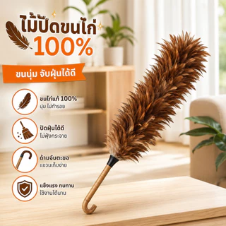 ไม้ปัดฝุ่นขนนก เกรด A ด้ามพลาสติก มีขนาด 70 ซม. 60 ซม. และ 40 ซม. ขนแปรงหนาและฟูและไม่หลุดร่วงง่าย