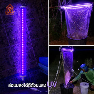 หลอดล่อแมลง UV สีม่วง 190W พร้อมตะขอแขวน ไฟดักยุง LED T5 แสงยูวีแรงสูง ดักแมลงกลางคืน ใช้ไฟบ้าน ตรวจธนบัตรได้