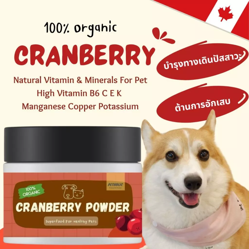 ผงแครนเบอร์รี่ 100%Organic โรยอาหาร บำรุงสุนัขและแมว