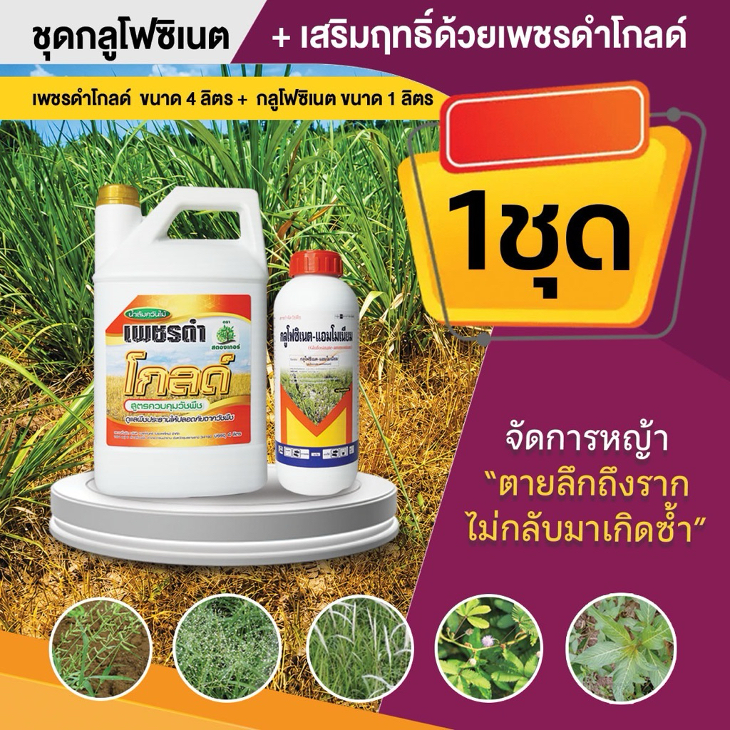 เพชรดำโกลด์+กลูโฟซิเนต เสริมประสิทธิภาพการกำจัดวัชพืช ไม่เป็นอันตรายต่อผู้ใช้ บำรุงดิน บำรุงพืชที่ปลูก