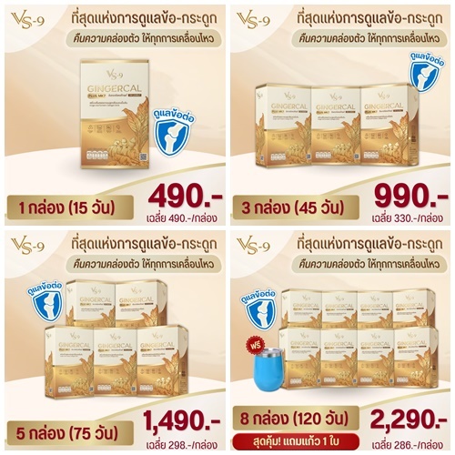 New...!!! GINGERCAL PLUS MK7