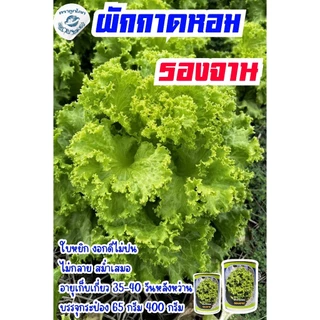 เมล็ดผักกาดหอม รองจาน ตราลูกโลก🌍🥬ขนาด400กรัม