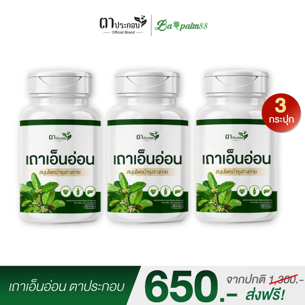 [3กระปุก]เถาเอ็นอ่อนแคปซูล สมุนไพร ตาประกอบ บรรเทาปวดข้อ ปวดเข่า บำรุงกำลัง ฟื้นฟูร่างกาย