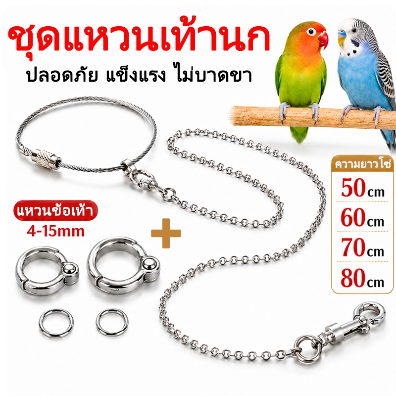 โซ่นกแก้ว🦜โซ่ขาและห่วงสำหรับนก ห่วงเปิดนก สแตนเลส 4-15mmสาวงขา 50-80ซม  นกแก้ว หงษ์หยก ฟอพัส