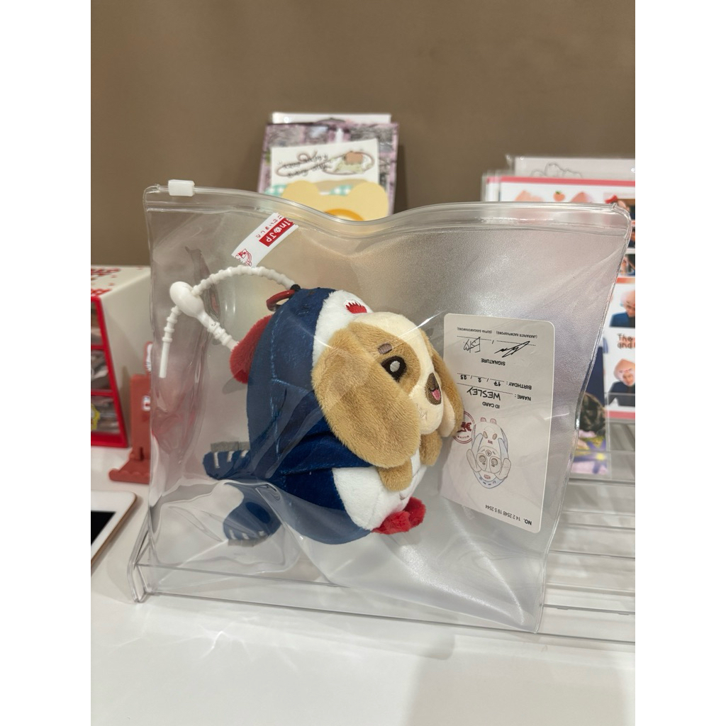 พร้อมส่ง ตุ๊กตาWESLEY DOLL KEYCHAIN GMMTV
