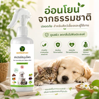 สเปรย์สมุนไพร ไล่เห็บหมัดสุนัข แมว Ticks Fleas ลดพฤติกรรมคัน อ่อนโยน 250 ml. หมอไทยทำเอง