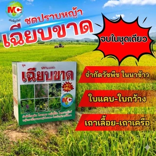 ชุดปราบหญ้า เฉียบขาด สำหรับการปลูกพืชในนาข้าว ใบและใบกว้าง เถา-เครือ ชุดเดียวจบ