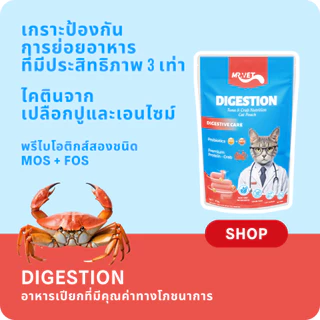 Mr.Vet อาหารแมวเปียก 12 แพ็ค แบบผสม ของขวัญอาหารแมวคริสต์มาสและปีใหม่