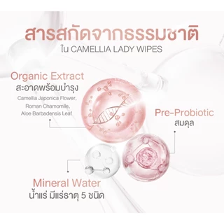 Camellia คามิเลีย เลดี้ ไวพส์ ทิชชู่เปียกดูแลจุดซ่อนเร้น Feminine Lady Wipes (10 Wipes)