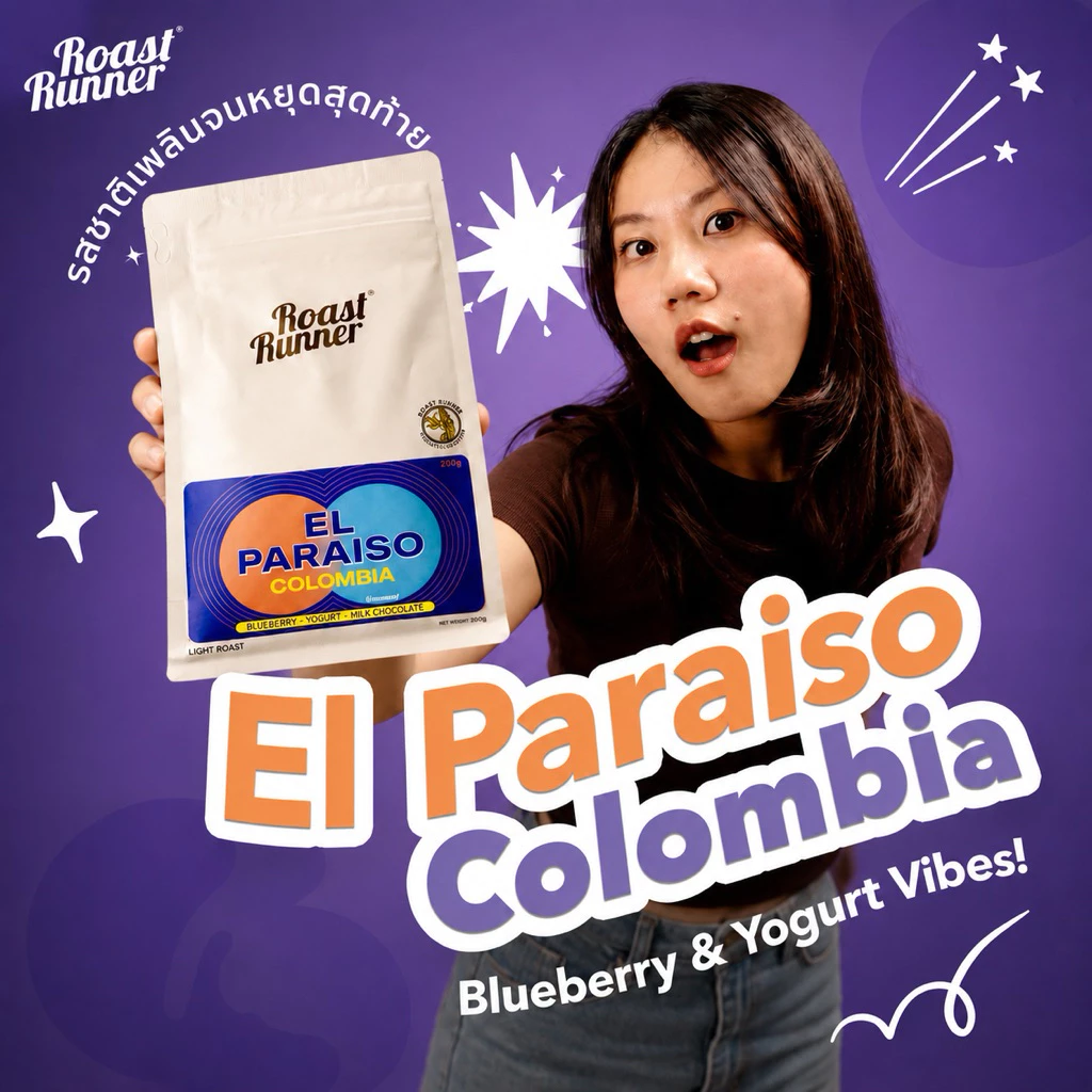 เมล็ดกาแฟ Colombia El Paraiso Coffee Beans (Light Roast)
