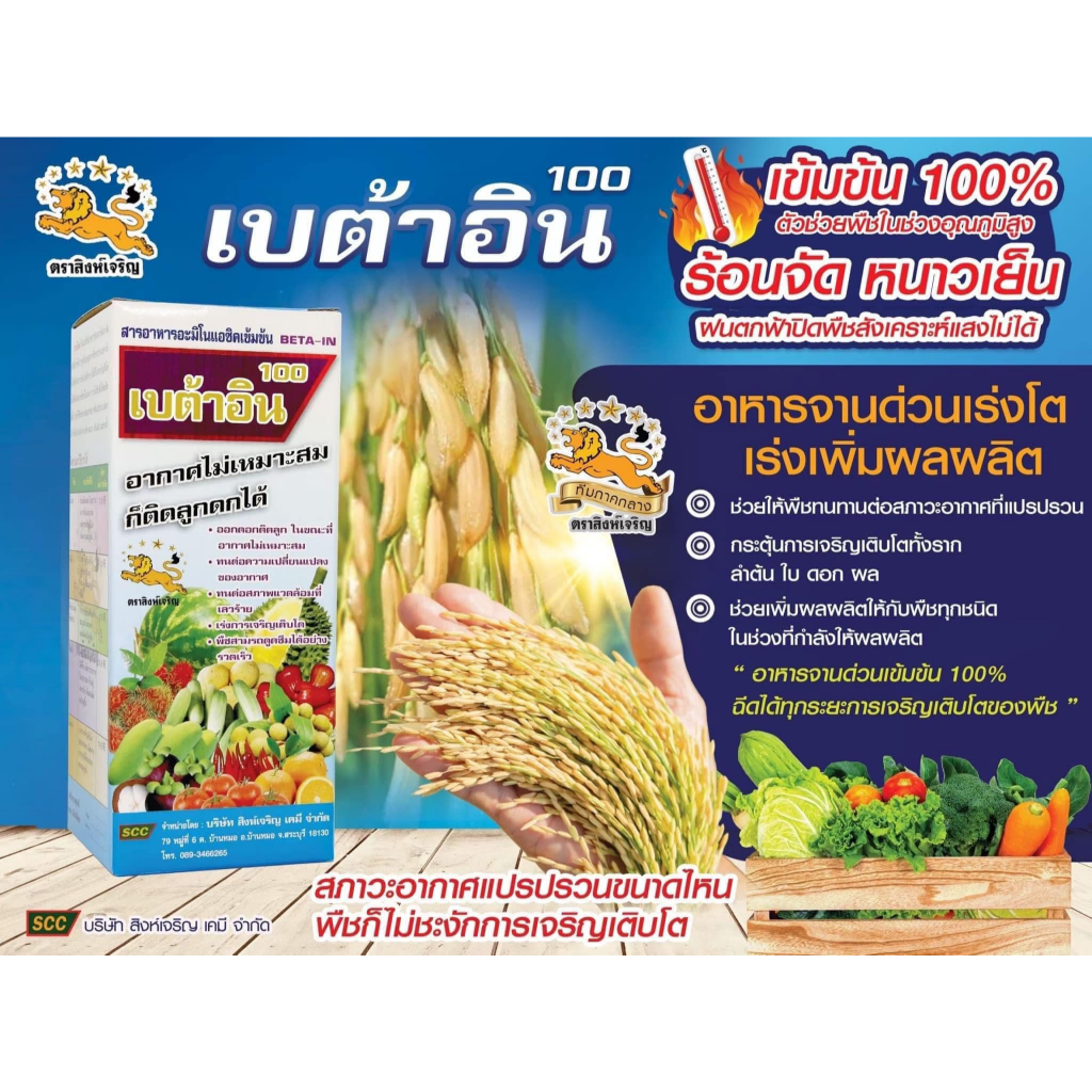 เบต้าอิน100 ขนาด 1 ลิตร สารอาหารอะมิโนแอซิคเข้มข้น 23 ชนิด บำรุงพืช ตราสิงห์เจริญ