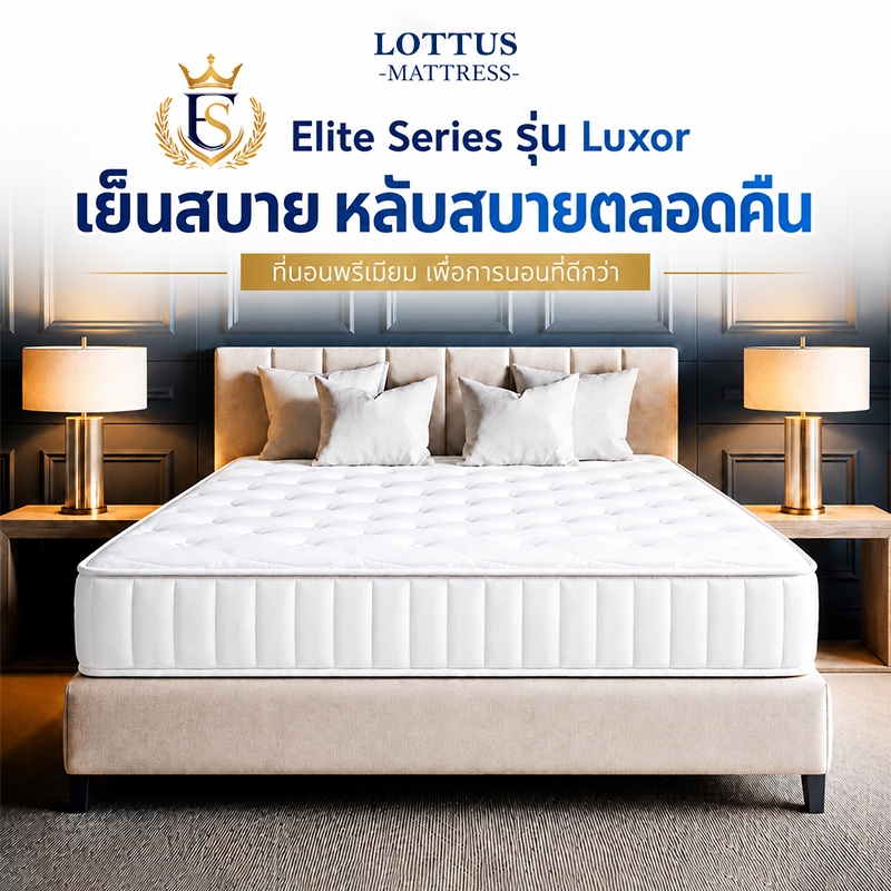 LOTTUS ที่นอนสปริงเสริมยางพารา ที่นอนพ็อกเก็ตสปริง หนา 8 นิ้ว รองรับกระดูกสันหลัง บรรเทาปวดหลัง สัมผัสโรงแรม 5 ดาว