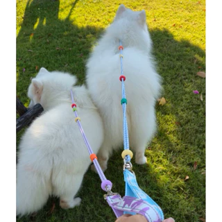 Buddiez สายจูงน้องหมา ตะขอเกี่ยวและเชือก วัสดุเกรดพรีเมี่ยม แข็งแรงทนทาน ใช้ได้กับน้องหมาทุกสายพันธ์ุ