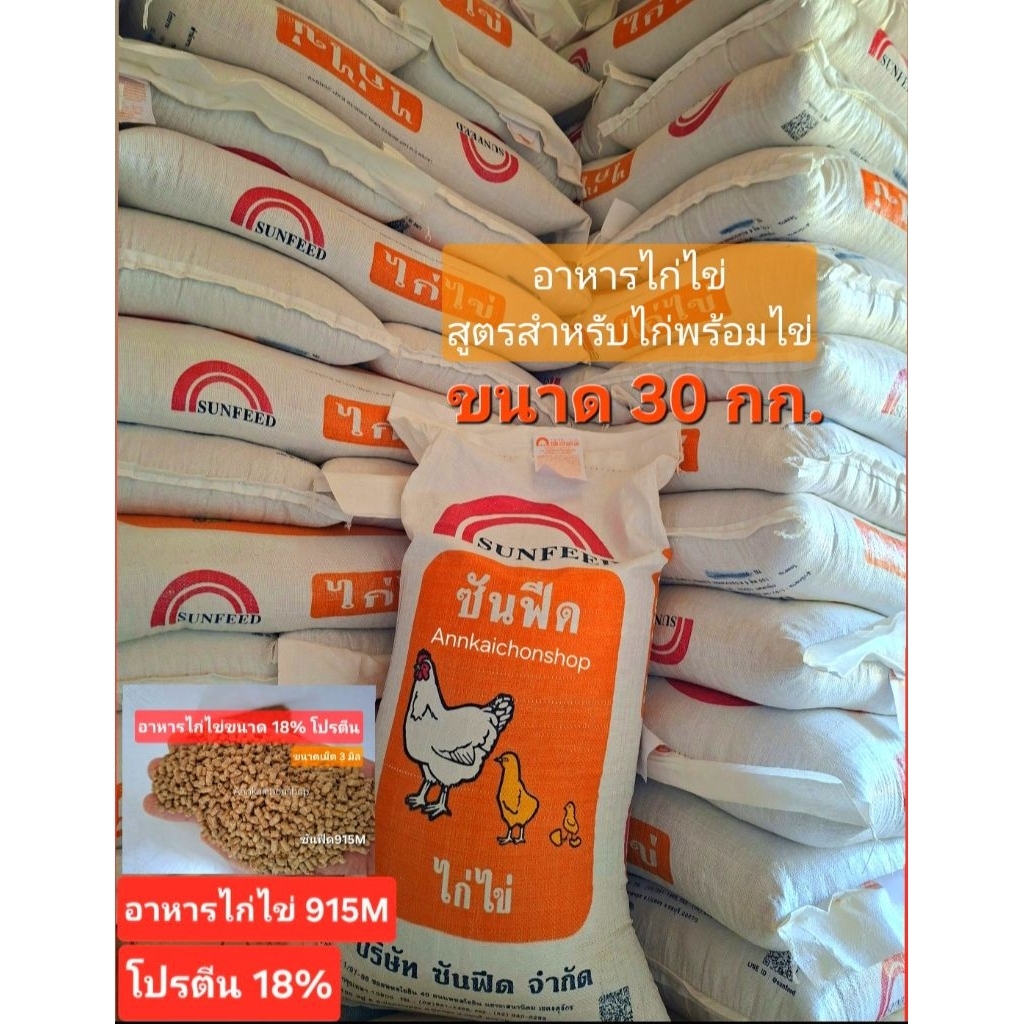 #อาหารไก่ไข่ #อาหารไก่ไข่915เอ็ม #อาหารไก่ไข่ซันฟีดขนาด30กก.#อาหารไก่ไข่ราคาถูก