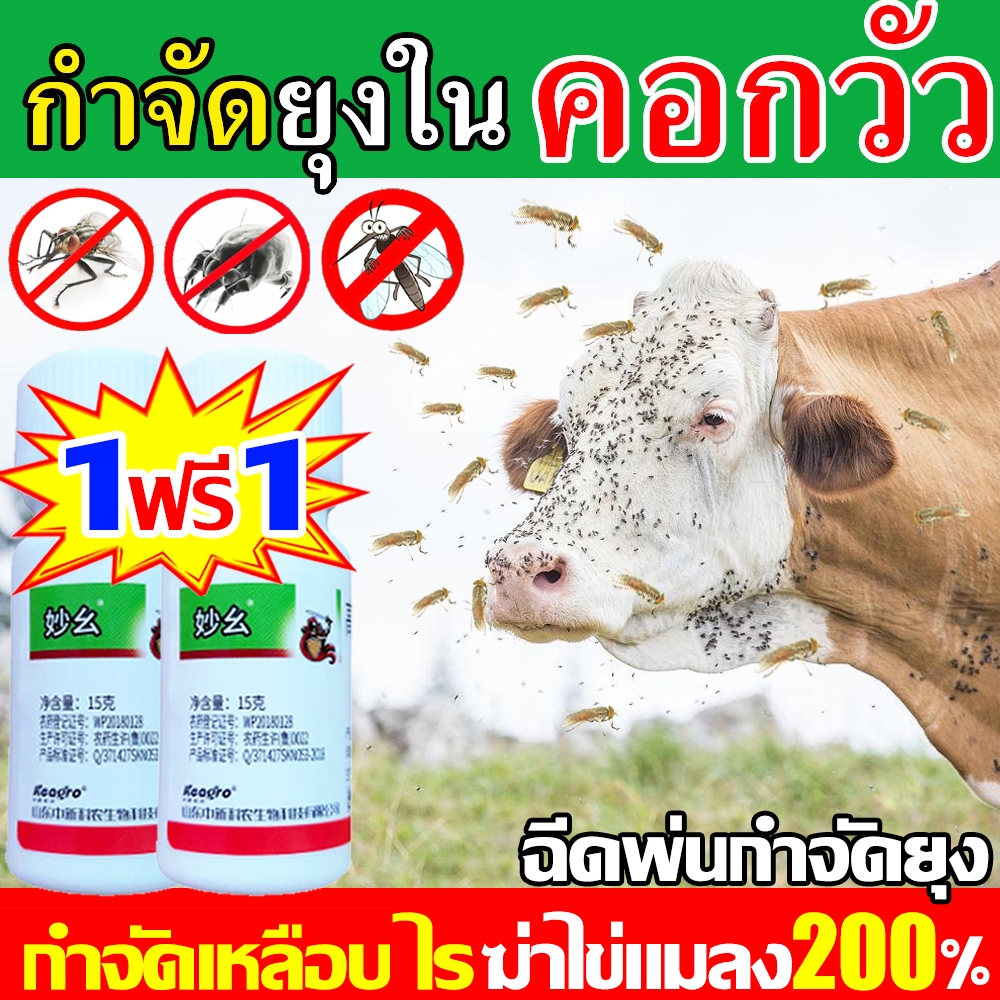 กําจัดแมลงวันในคอกวัว ยาไล่แมลงในวัว ยุงเห็บ ฉีดในคอกสัตว์ได้ ไม่เป็นอันตรายต่อมนุษย์และสัตว์ ไล่แมลงวัน อัตราการฆ่า100%