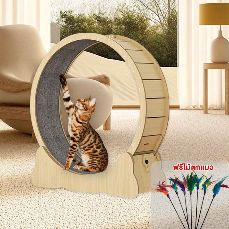 L&Q ลู่วิ่งแมว ที่ออกกำลังกายสัตว์เลี้ยง ออกกำลังกาย ขนาดใหญ่	cat wheel	ของเล่น Pet treadmill