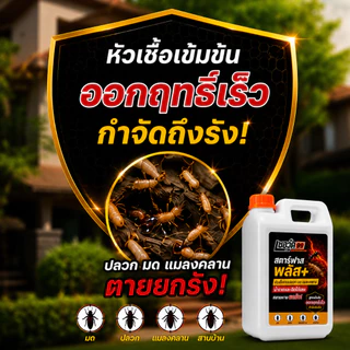 [1แถม1] เชอวู๊ด 99 สตาร์ฟาส พลัส+ น้ำยากำจัดปลวก มด แมลงคลาน สูตรเข้มข้น ทลายรังถึงต้นตอ สูตรพร้อมใช้งาน