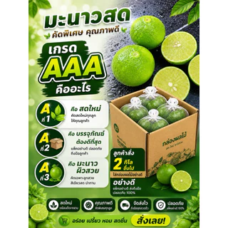 มะนาวแป้นรำไพสวนแท้ เกรดAAA ลูกสวย ใหญ่ กลาง เล็ก 1กิโล 20-40ลูก ตามไซส์ เปลือกบาง น้ำเยอะ หอม ดำเนิน บ้านแพ้ว