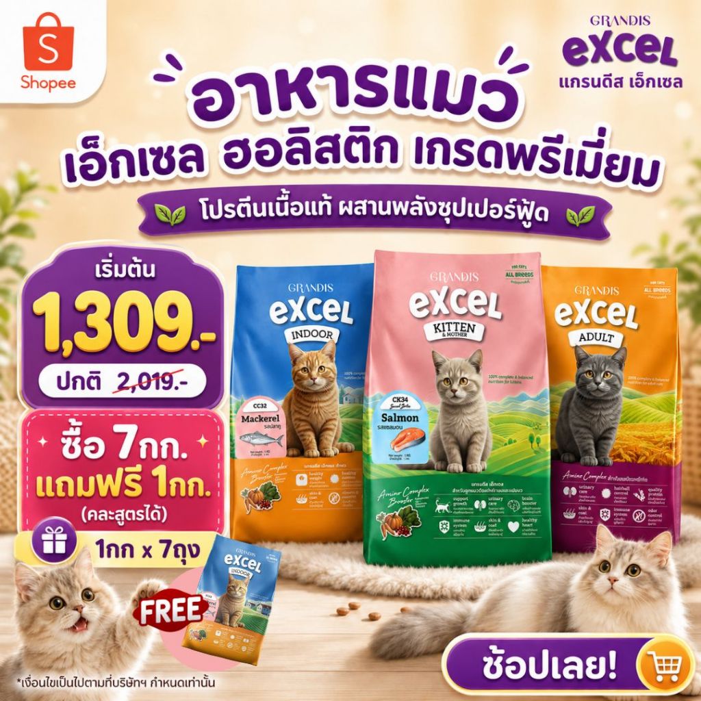 [แพ็กสุดคุ้ม ซื้อ 7กก ฟรี 1กก]  อาหารแมว แกรนดีส เอ็กเซล ฮอลิสติก สูตรลูกแมว/แมวโต/แมวเลี้ยงในบ้าน