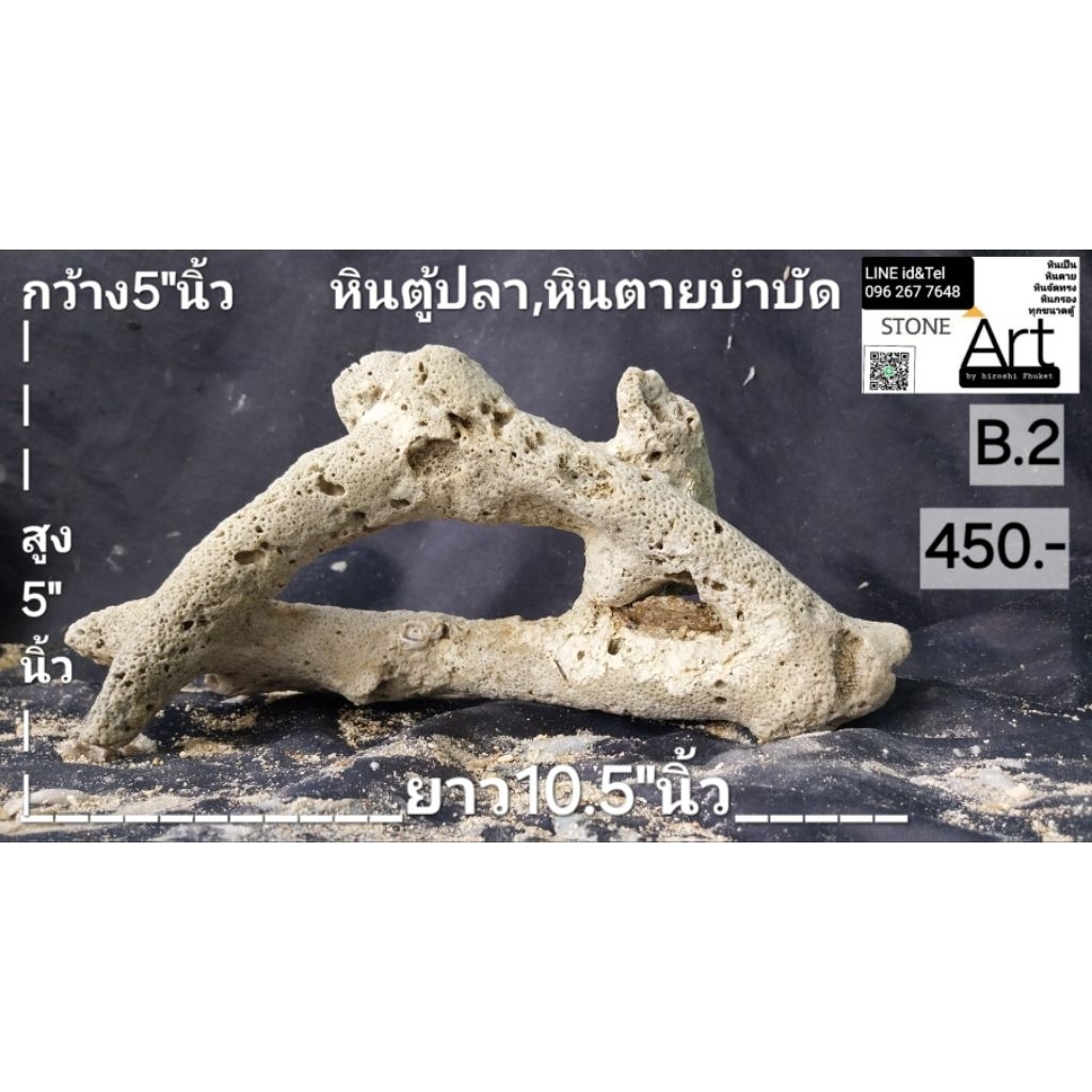 หินตู้ปลา หินตายบำบัด หินทะเล ขนาด กว้าง5"นิ้ว สูง5"นิ้ว ยาว10.5"นิ้ว